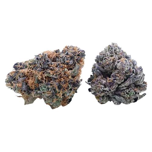 Day & Night Duo Pack product image