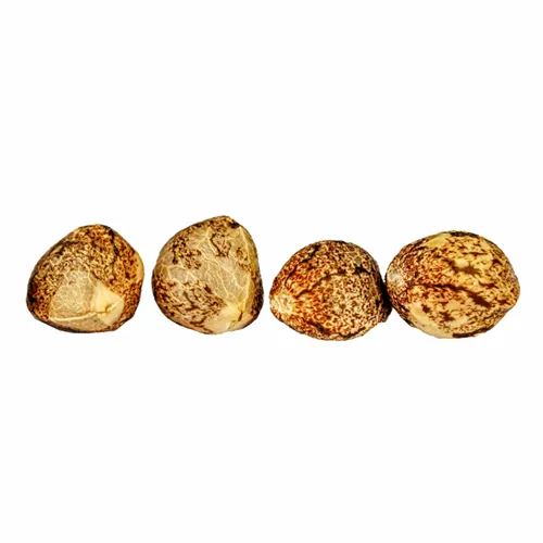 Froot product image