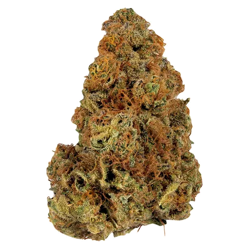 Gassy Treasure product image