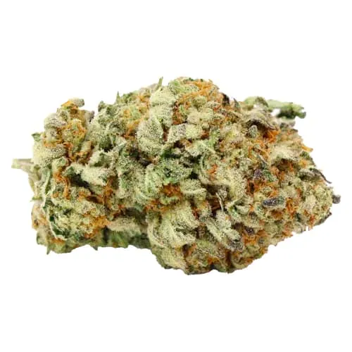 Limited Batch - Bermuda Triangle- Dried Flower product image