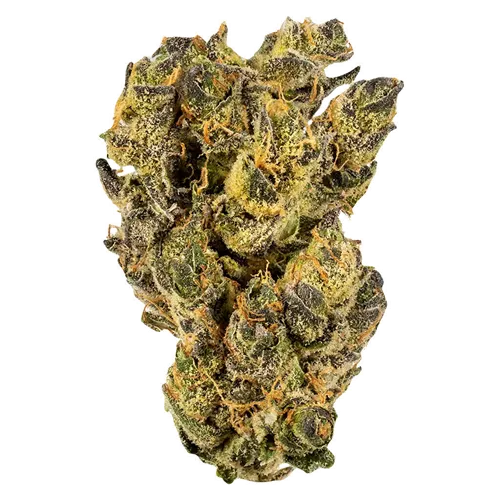 Citrus Tsunami product image